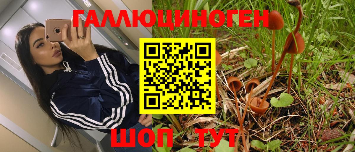 Псилоцибиновые грибы MAGIC MUSHROOMS  Вход с VPN  Котельники 