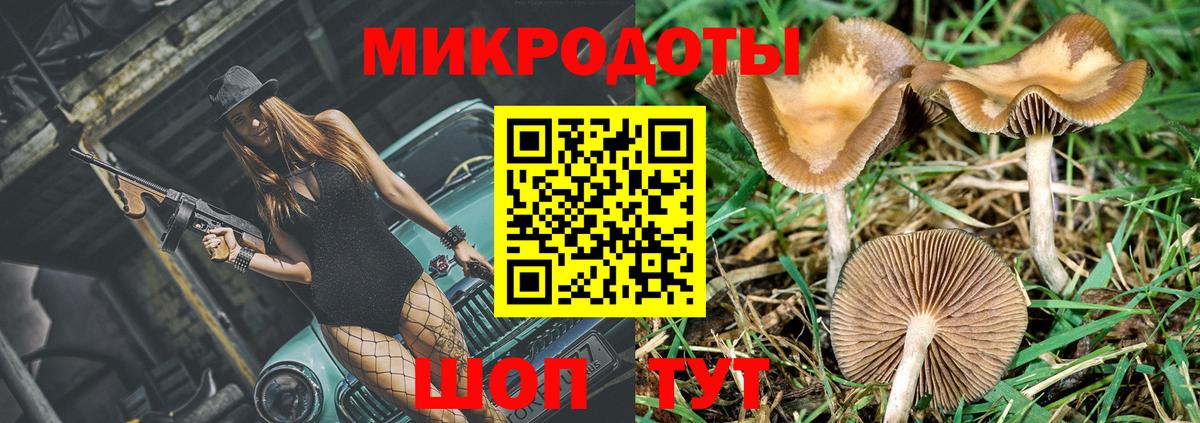 Псилоцибиновые грибы Psilocybe Котельники
